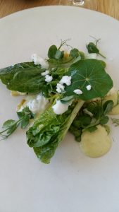 salad boschendal franschhoek mcc route sonia cabano blog eatdrinkcapetown
