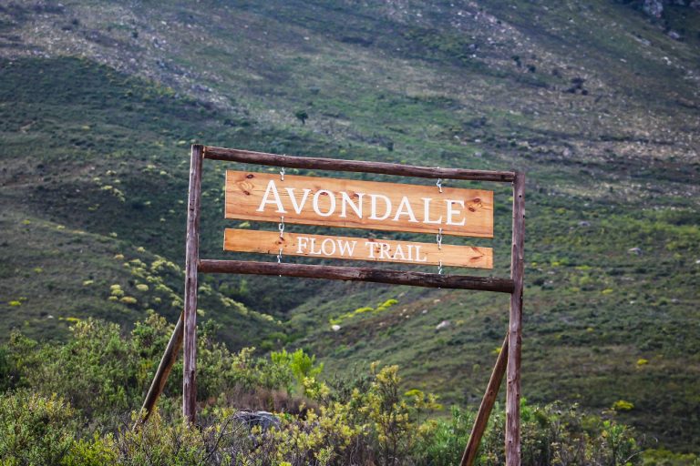 Avondale wine estate launches Africa’s longest mountain bike flow trail!
